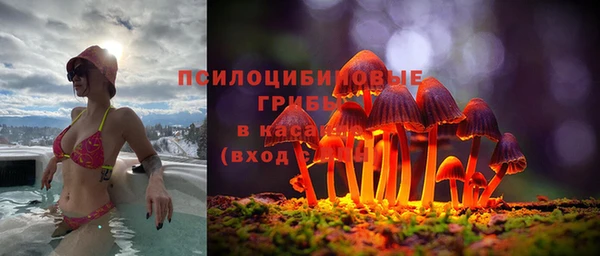 шишки Балахна